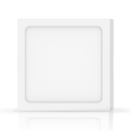 Kunststoffdeckel für Krallenkasten, 40 x 60 mm. Sichert den Inhalt Ihrer Box, robust und langlebig. Ideal für verschiedene Anwendungen und einfach zu handhaben. Optimieren Sie Ihre Lagerung! von VoltShine