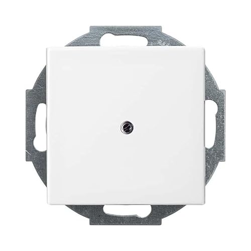 Busch-Jaeger 2527-914 Zentralscheibe mit Tragring (Thermoplast) Balance SI Alpinweiß von Voltking
