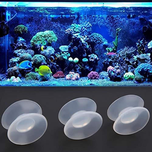 Doppelseitiger Saugnapf, 0,39 Zoll Höhe 10-teiliger Saugnapf für Aquarium, Silikongel Kein Schaden für Aquarium im Aquarium zu Hause von Voluxe