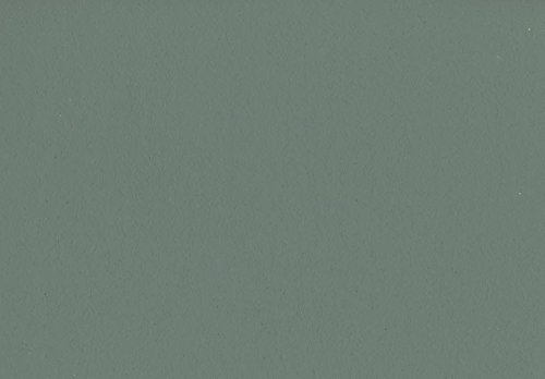 Volvox Espressivo Lehmfarbe Bunttöne 2 PGB 2,5 Liter | 20 m² (ginkgo | 098) Wandfarbe Deckenfarbe Naturfarbe Ginkofarbe von Volvox