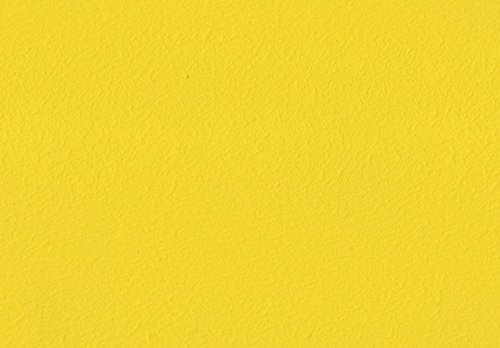 Volvox Espressivo Lehmfarbe Bunttöne 3 PGD 2,5 Liter | 20 m² (canary | 267) Wandfarbe Deckenfarbe Naturfarbe von Volvox