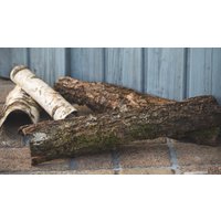 Rindenstücke Eiche Naturbelassen Teilweise Moosbehaftet Keine Mooreiche Korkeiche Bis 1000mm X 100mm von VomHochwald