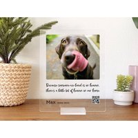 Personalisierte Haustier-Gedenktafel Klares Acryl-Erinnerungsgeschenk von VonaGifts