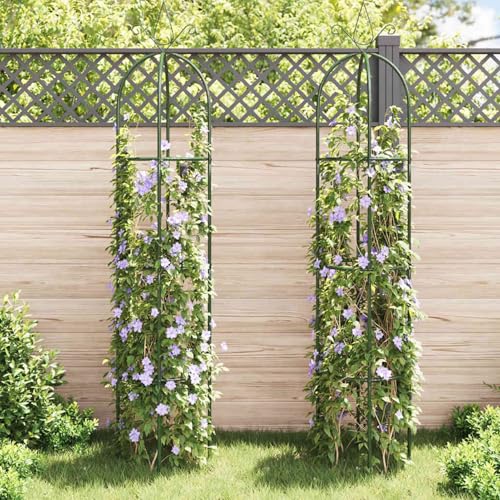 Vopese Eisen Rosenbogen Rankhilfe Kletterpflanzen Stütze Dunkelgrün 38x190cm Terrasse Model40779 von Vopese