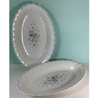 Arcopal Victoria 8-5/8 "Ovales Set Mit 2 Relish Tellern von VorellsTreasureChest