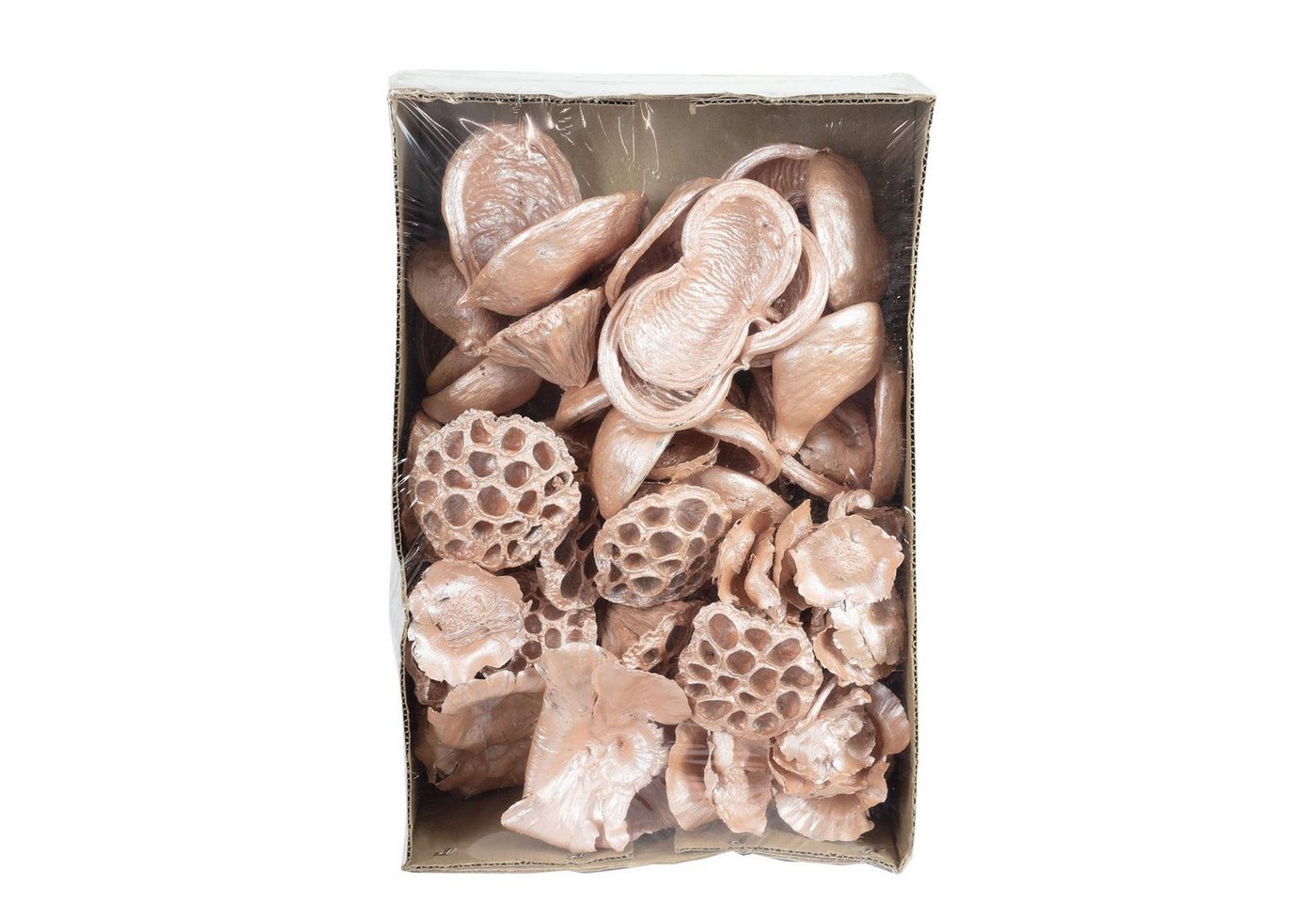 Trockenblume Exotensortiment Pear - 60 Stück - pearl pink, Vosteen von Vosteen