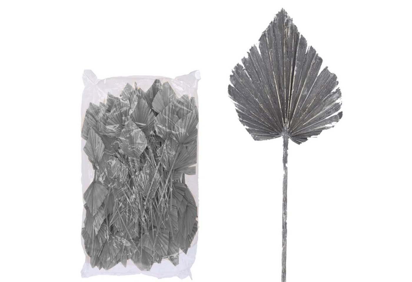 Trockenblume Palmspear ind. groß - 100 Stück Beutel - frost-grau, Vosteen von Vosteen