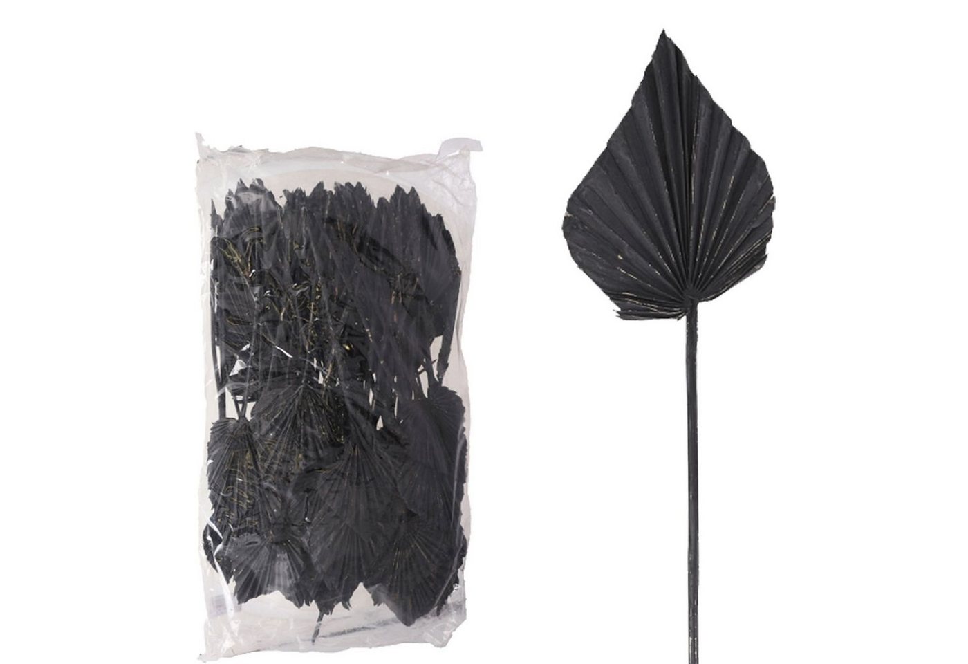 Trockenblume Palmspear ind. groß - 100 Stück Beutel - schwarz, Vosteen von Vosteen