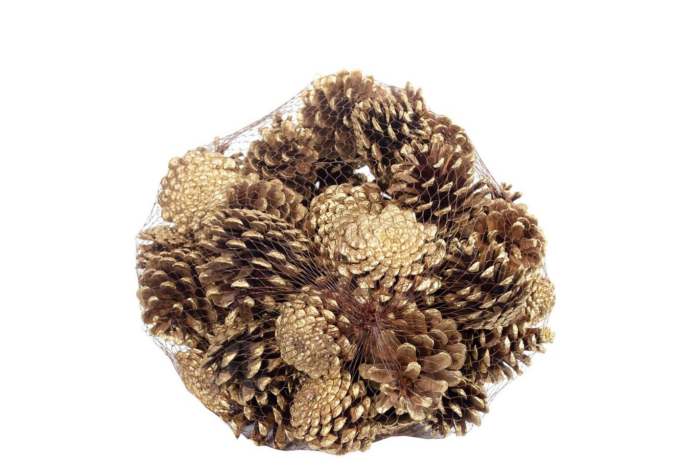 Trockenblume Schwarzkiefern - 1 kg im Netz - Länge ca. 5-8 cm - gold-tipped, Vosteen von Vosteen