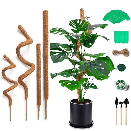 Votoko 4 STK Monstera Rankhilfe, 70cm+120cm Pflanzstab Kokos Biegsame Moosstab Monstera Rankstab mit Zubehör, Natürlicher Kokosstab für Pflanzen, Biegbare Pflanzenstütze für Kletterpflanzenwachstum Votoko 4 STK Monstera Rankhilfe, 70cm+120cm Pflanzstab Kokos Biegsame Moosstab Monstera Rankstab mit Zubehör, Natürlicher Kokosstab für Pflanzen, Biegbare Pflanzenstütze für Kletterpflanzenwachstum von Votoko