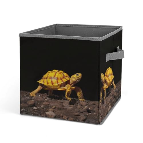 Vqqkasmn Faltbare Aufbewahrungskörbe für die Organisation von Spielzeug, Büchern, Regalen, Schrank, Schildkröte, Boden, Spaziergänge, bedruckt, große Aufbewahrungsbox mit Seilgriffen Vqqkasmn Faltbare Aufbewahrungskörbe für die Organisation von Spielzeug, Büchern, Regalen, Schrank, Schildkröte, Boden, Spaziergänge, bedruckt, große Aufbewahrungsbox mit Seilgriffen von Vqqkasmn