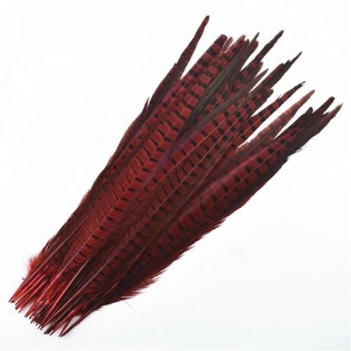10 Stück/Packung farbige natürliche Fasanenfedern, Dekoration, Federn, Urlaubszubehör, rot, 40–45 cm von Vsadsau