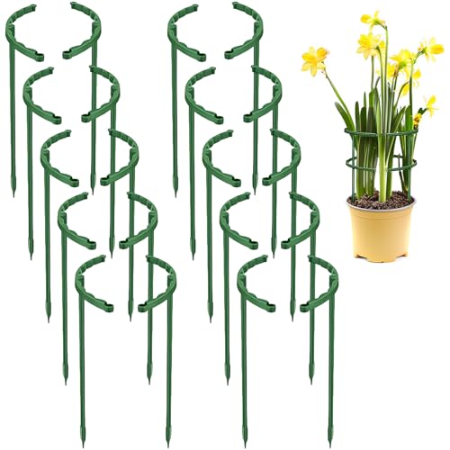 Vueinrg 20 Stück 24x14cm Pflanzenstütze Rund Staudenhalter Strauchstütze aus Plastik Pflanzen Stützring Blumenhalter Blumenstütze Wiederverwendbar Rankhilfe Zimmerpflanzen von Vueinrg