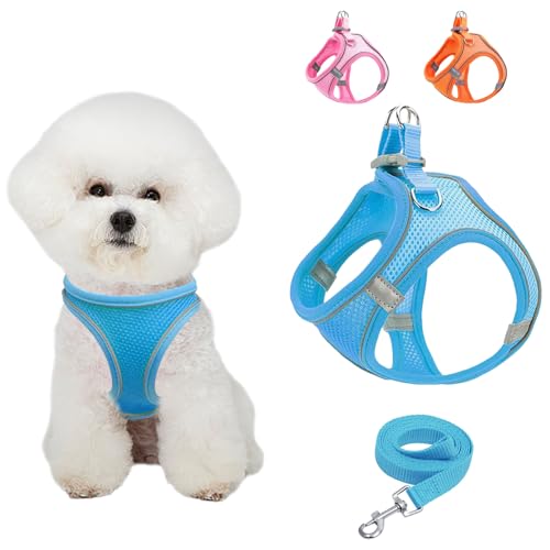 Hundegeschirr Kleine Hunde, Anti Zug Einstellbar Reflektierend Geschirr, Atmungsaktiv Weiches aus Mesh Geschirr Hund, Hundegeschirr und Leine Set (Blau, L) von Vuemhjaey