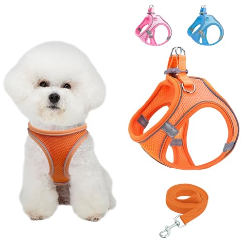 Hundegeschirr Kleine Hunde, Anti Zug Einstellbar Reflektierend Geschirr, Atmungsaktiv Weiches aus Mesh Geschirr Hund, Hundegeschirr und Leine Set (Orange, XS) von Vuemhjaey