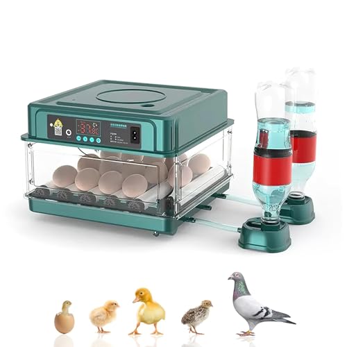 Brutautomat Vollautomatisch Brutmaschine Vollautomatisch Inkubator Hühner für 10-36 Eier, Brutkasten Hühner mit Automatischem Eierdrehen und Automatischer Wasserzugabe für Zucht von Hühnern (15 Eier) von Vulaop