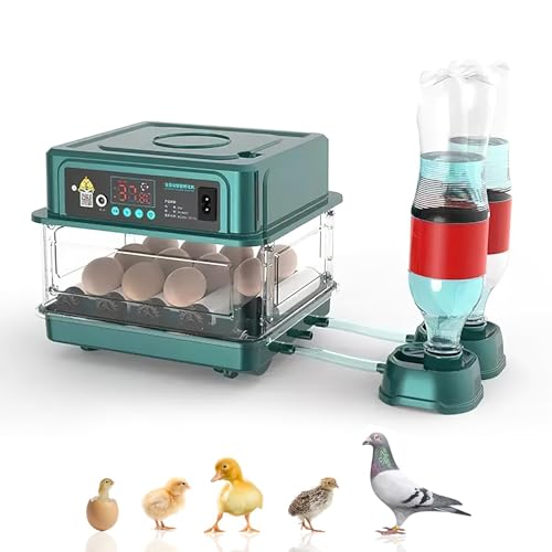Brutautomat Vollautomatisch Brutmaschine Vollautomatisch Inkubator Hühner für 10-36 Eier, Brutkasten Hühner mit Automatischem Eierdrehen und Automatischer Wasserzugabe für Zucht von Hühnern (9 Eier) von Vulaop