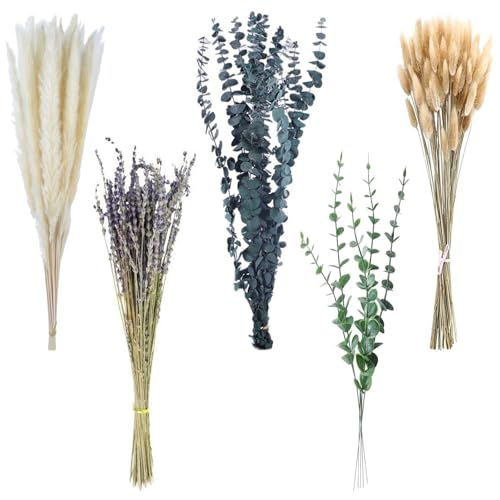 100 Bündel Trockenblumenstrauß,Natürliche Getrocknete Blumen Getrocknete Pampasgras-Dekoration Boho-Tischdeko Schilfgrasstrauß Bunny-Tails-Trockenblumen für Hochzeit Boho Blumendeko zu Hause von Vulevirtue