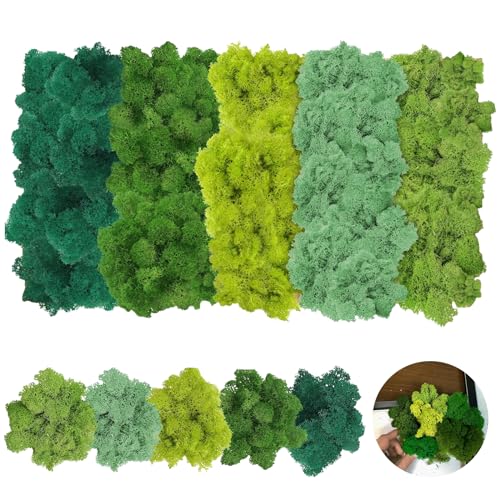 20 Stück Moos Deko,Konserviertes Moos Dekomoos zum Basteln Echtes Natur Moos Dekomoos Moos Islandmoos Echtes Moos in 5 Farben Dekomoos für Die Deko, Modellbau (200g) von Vulevirtue