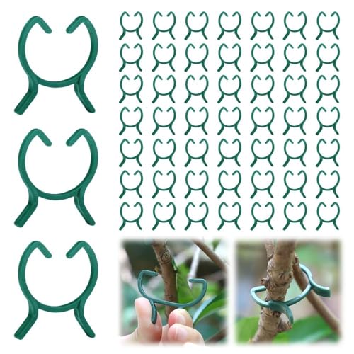 Pflanzenclips Pflanzenklammern, 100 Stück Tomatenhaken Wiederverwendbar Pflanzenringe für Gemüse Und Obst,Stabile Klammern für Kletterpflanzen Befestigung Pflanzenclips Pflanzenklammern, 100 Stück Tomatenhaken Wiederverwendbar Pflanzenringe für Gemüse Und Obst,Stabile Klammern für Kletterpflanzen Befestigung von Vunpok