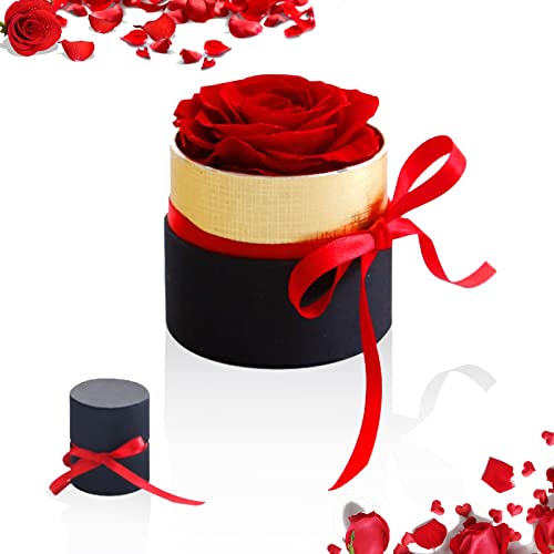 MiniGeschenkbox, ewige Rose, handgefertigt, stabilisierte Rosen, Valentinstagsgeschenk, ewige Rose, nie Blume, rote Mädchen, Hochzeitsgeschenke, Jahrestag, romantische Geschenke, Geschenke für von Vusddy