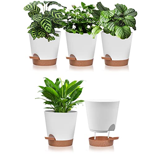 Vusddy 5er Set Kräutertopf Selbstbewässernd, 6 Zoll Selbstbewässerungstopf mit Untersetzer, Blumentöpfe mit Bewässerungssystem für Kräutergarten, Küche, Balkon, Garten, Indoor von Vusddy