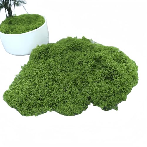 Vyloky Kunstmoos Teppich, Realistisches Künstliches Moos für Diorama, Modellbau & Topfdekoration, Flockmoos in Hell/Dunkelgrün, Szenengestaltung (100g/200g) (Dunkelgrün 100g) von Vyloky