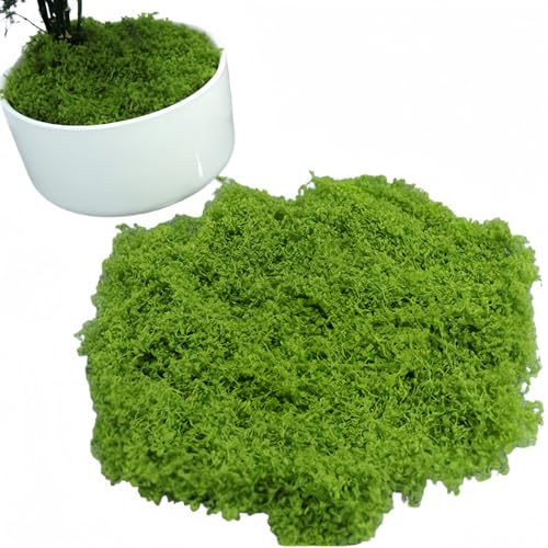 Vyloky Kunstmoos Teppich, Realistisches Künstliches Moos für Diorama, Modellbau & Topfdekoration, Flockmoos in Hell/Dunkelgrün, Szenengestaltung (100g/200g) (Hellgrün 200g) von Vyloky