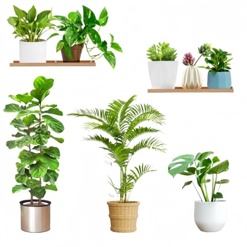 Vyloky Tropische Pflanzen Wandtattoos Monstera Blätter – Selbstklebende Wanddeko für Wohnzimmer, Schlafzimmer, Flur (Saftiges Smaragdgrün) von Vyloky
