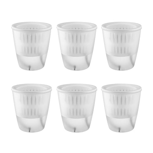 Vynetra 6 Stück Hydratisierte automatische Bewässerungspflanzen-Gadgets für den Innen- und Außenbereich, automatische Werkzeuge, einfache Indoor-Gartentöpfe von Vynetra