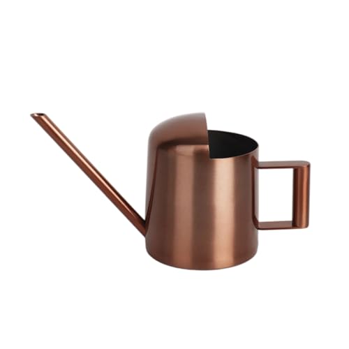 Vynetra Gießkanne Zimmerpflanze Indoor für 300 ml Edelstahl langer Ausgießer Flasche Edelstahl Gießkanne von Vynetra