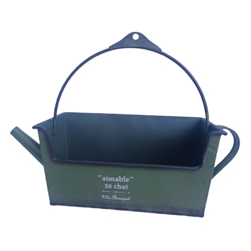 Vynetra Skurrile Blume, dekorativer Eisengießkannenhalter, Behälter, modernes Design für Zuhause, Garten, Veranda, Pflanzen-Präsentation, Drainagelöcher, Blumentopf Vynetra Skurrile Blume, dekorativer Eisengießkannenhalter, Behälter, modernes Design für Zuhause, Garten, Veranda, Pflanzen-Präsentation, Drainagelöcher, Blumentopf von Vynetra