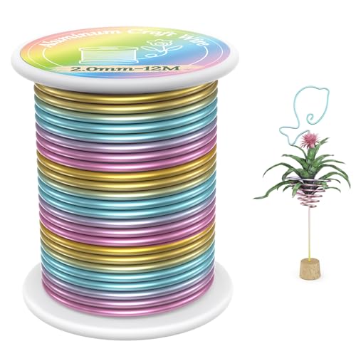 VynyQoo 2mm Basteldraht, 12m Modellierdraht, Aludraht Draht Bunt, Weicher Aluminiumdraht, Schmuckherstellung Bindedraht pour Basteln DIY VynyQoo 2mm Basteldraht, 12m Modellierdraht, Aludraht Draht Bunt, Weicher Aluminiumdraht, Schmuckherstellung Bindedraht pour Basteln DIY von VynyQoo