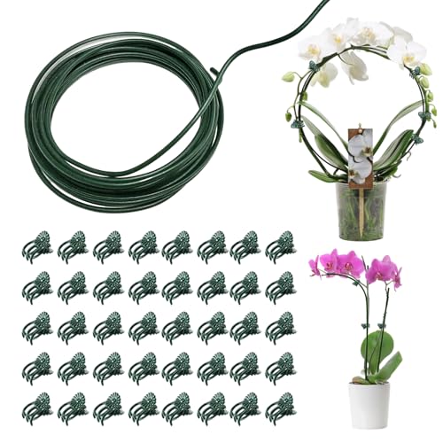 1 Stück DIY Pflanzenstütze Pflanzenstab Pflanzenstützen Tomaten Rankhilfe Staudenhalter 5m Pflanzenhalter Strauchstütze mit 40 Pflanzenclips für Tomaten Pfingstrosen Rosen Hortensien Zimmerpflanzen von W Rxkiocs