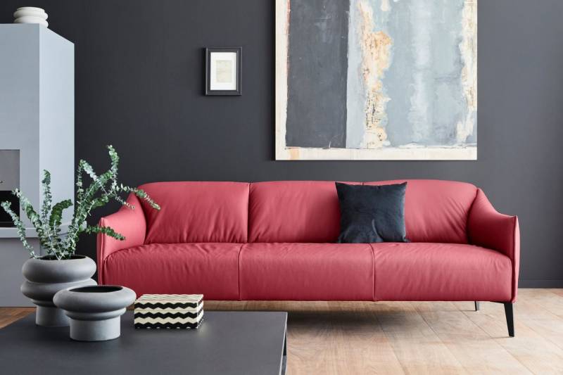 W.SCHILLIG 3-Sitzer sally, mit Metall-Winkelfüßen in Schwarz pulverbeschichtet, Breite 224 cm W.SCHILLIG 3-Sitzer sally, mit Metall-Winkelfüßen in Schwarz pulverbeschichtet, Breite 224 cm von W.SCHILLIG