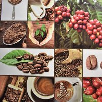 Wachstuch Tischdecke Kaffee Bohnen Patchwork K126A Größe Frei Wählbar in Eckig Rund Oval Wachstuch Tischdecke Kaffee Bohnen Patchwork K126A Größe Frei Wählbar in Eckig Rund Oval von WACHSTUCH24