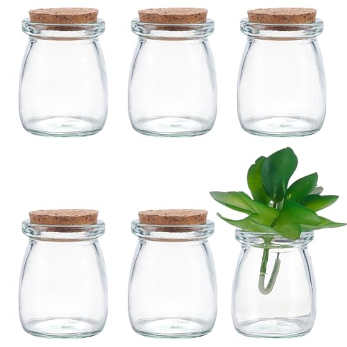 WADORN 6 Stück Mini Glasflaschen Mit Korken 100 ml Klare Mini Flaschen Aus Glas Für Wunschgeschenke Kleine Leere Aufbewahrungsgläser Mit Holzkorkdeckel Für DIY Bastelarbeiten Party Hochzeitsgeschenke von WADORN