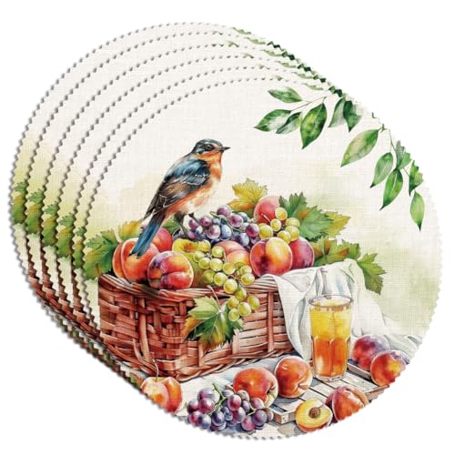 WADORN 6 Stück Vogel Obstkorb Runde Tischdecke, 38x38cm Polyester Waschbar Landhausstil Tischsets Für Esstisch Dekoration Party Küche Restaurants Hotel WADORN 6 Stück Vogel Obstkorb Runde Tischdecke, 38x38cm Polyester Waschbar Landhausstil Tischsets Für Esstisch Dekoration Party Küche Restaurants Hotel von WADORN