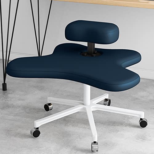 Kniestuhl, Ergonomischer Sitz, Fünfzackig mit Rollen, Höhenverstellbarer Hocker Zur Haltungsverbesserung und korrektur, Geeignet für Den Einsatz im Home Office, Mehrfarbige Ausführung ( Color : Dark b von WAEYZ