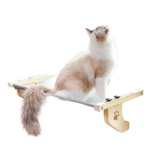 WAFOHSR Fenster Hängendes Katzenbett Tragbares Abnehmbares Haustier Katze Holznest Hängende Hängematte Balkon Innen Nachtbett KatzenhäNgematte WAFOHSR Fenster Hängendes Katzenbett Tragbares Abnehmbares Haustier Katze Holznest Hängende Hängematte Balkon Innen Nachtbett KatzenhäNgematte von WAFOHSR