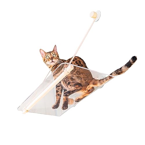 WAFOHSR Hängendes Bett for Katzenbett Und Transparentes Acrylhaus Im Fenster, Haustierbett, Katzenschaukel, Sitzpolster, 20 Kg KatzenhäNgematte WAFOHSR Hängendes Bett for Katzenbett Und Transparentes Acrylhaus Im Fenster, Haustierbett, Katzenschaukel, Sitzpolster, 20 Kg KatzenhäNgematte von WAFOHSR