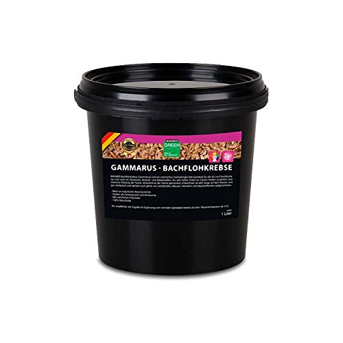 Wagner Bachflohkrebse getrocknet - 1 Liter (100 g) Gammarus Pulex - Proteinreiches Naturfutter - Koifutter Teichfutter Reptilienfutter von WAGNER GREEN Alles für den Gartenteich