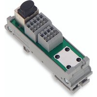 WAGO GmbH & Co. KG RJ-45 Übergabemodul 289-175 von WAGO GmbH   Co. KG