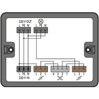 WAGO 899-631/305-000 Verteiler-Box 899 25A Schwarz 1St. von WAGO