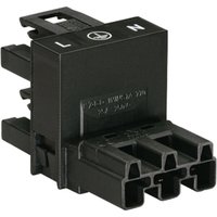 Wago - Netz-H-Verteiler Netz-Stecker - Netz-Buchse, Netz-Buchse Gesamtpolzahl: 2 + pe Schwarz 1 St. von WAGO