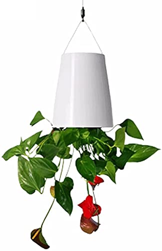 WAITLOVER Upside-Down-Pflanzgefäß zum Aufhängen, umgekehrter Himmel, hängender Blumentopf, Gartenzaunkorb, Pflanztopf, Dekoration, Weiß von WAITLOVER