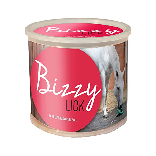 BIZZY Horse Leckstein, 1 kg 1 kg, Apfel von WALDHAUSEN