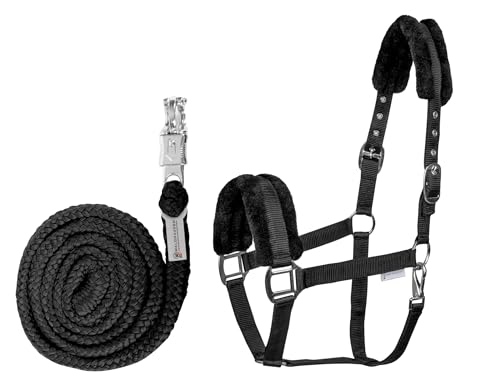 WALDHAUSEN Halfter Set First, schwarz, VB WALDHAUSEN Halfter Set First, schwarz, VB von WALDHAUSEN