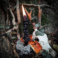 Hexenfackel Aus Königskerze Flamme Der Weisen | Schutz Trauer Vision - Und Ahnenritual Samhain Sonnenwende Raunächte Bienenwachs von WALDKVLT