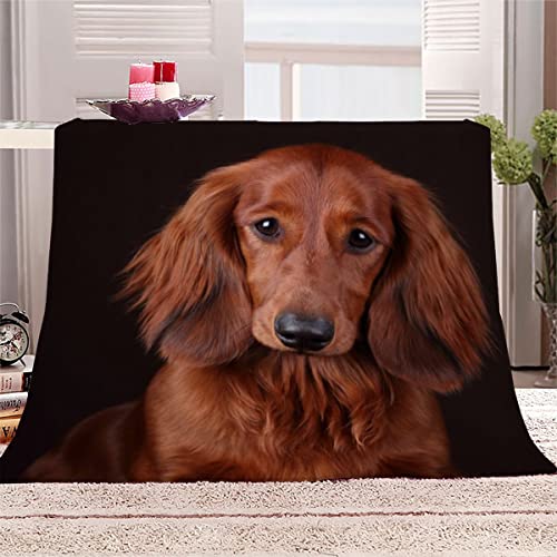 WALLDOR 3D Dackel Kuscheldecke Erwachsener 150x200 cm Leichte Winter Warme TV Decke Süßer Hund Wohndecke Flanell Decke Microfaser Fleecedecke Sofadecke Bettüberwurf von WALLDOR